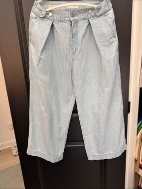 Light Wash Pleated Wide Leg Denim size 10